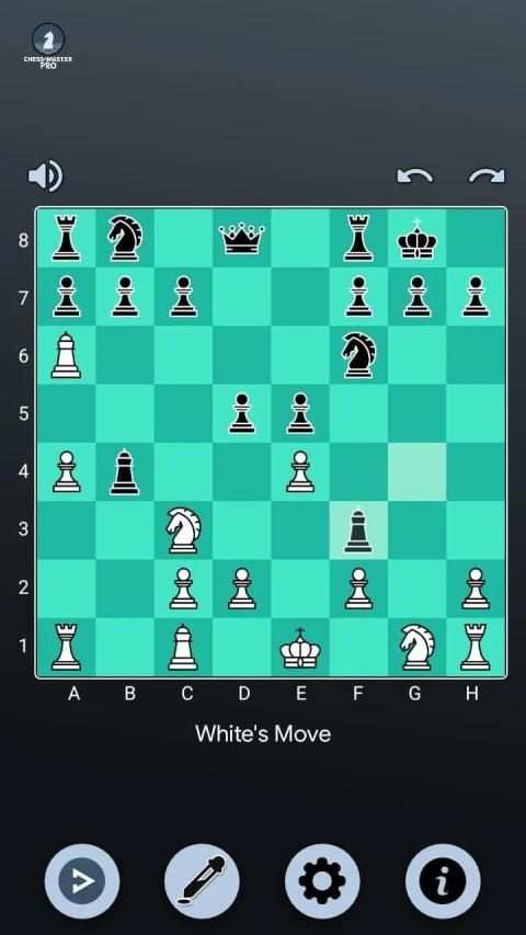Chess Master Pro screenshot 3