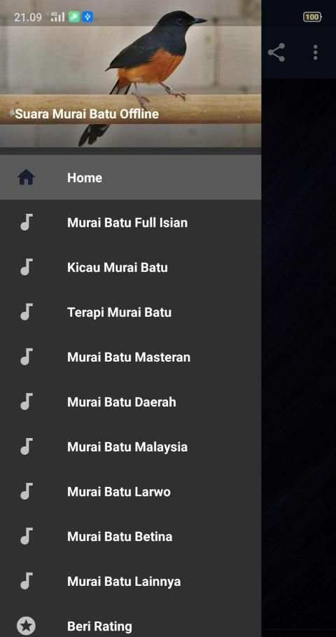 Suara Murai Batu Full Isian MP3 Offline скриншот 3