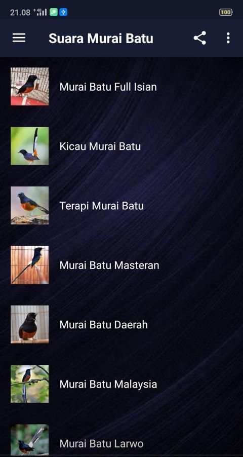 Suara Murai Batu Full Isian MP3 Offline скриншот 7