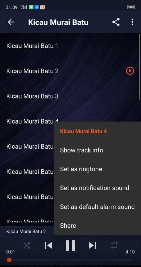Suara Murai Batu Full Isian MP3 Offline скриншот 4