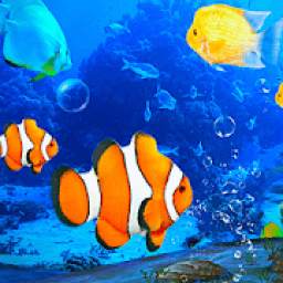 Aquarium Clown Fish Live Wallpaper 2019