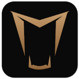 ikon Brabham Experience