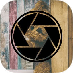 LINE Camera - Photo editor Pro आइकन