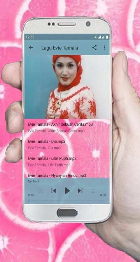 Lagu Evie Tamala MP3 Offline screenshot 2