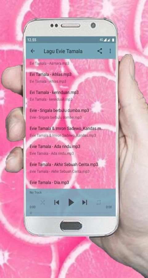 Lagu Evie Tamala MP3 Offline screenshot 4