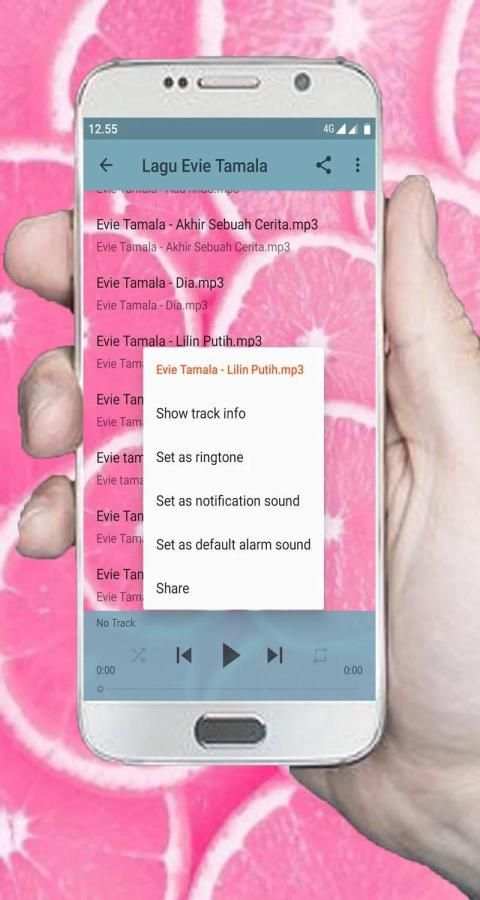 Lagu Evie Tamala MP3 Offline screenshot 3