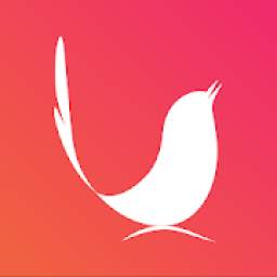 Yokara 6.6.3