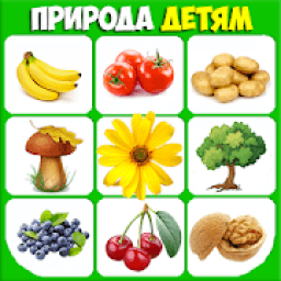 Фрукты и овощи ягоды. Учим слова для малышей icon