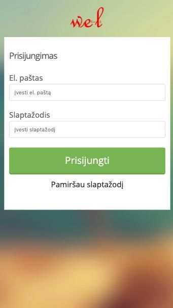 Wel screenshot 2
