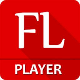 Flash Player 3.0