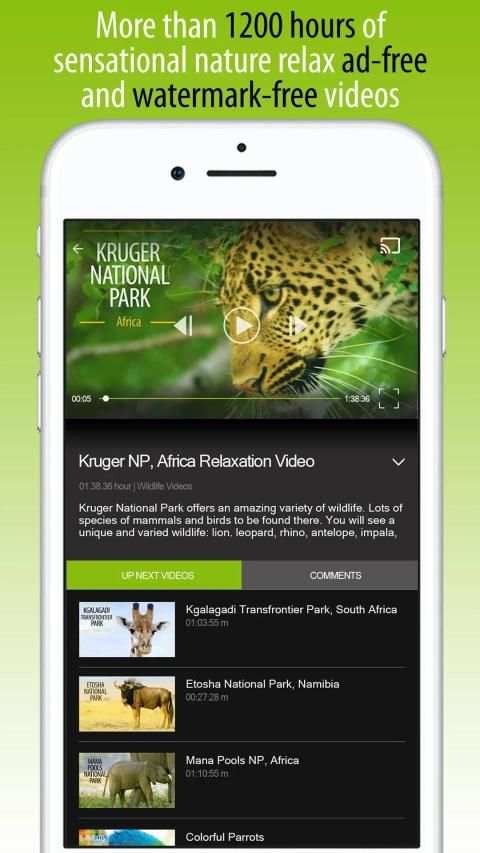 4K Nature Relax TV स्क्रीनशॉट 3