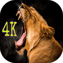 ikon Wild Animal Wallpapers HD