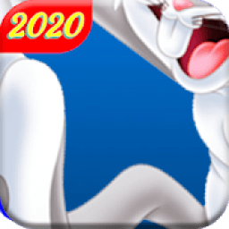 Bunny Toons Dash: Rabbit Run 2020 आइकन