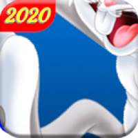 Bunny Toons Dash: Rabbit Run 2020