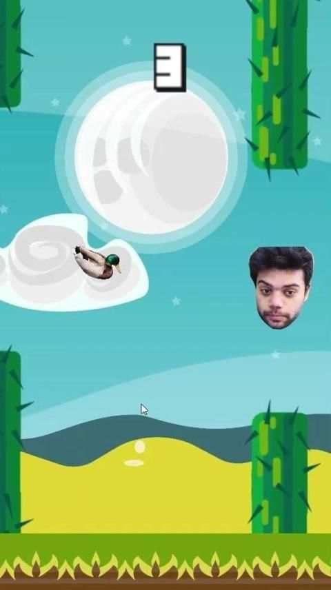 DuckyDuck - Ducky Bhai In Game screenshot 3