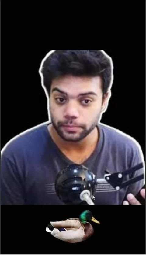DuckyDuck - Ducky Bhai In Game screenshot 1