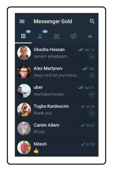 Messenger Gold screenshot 5