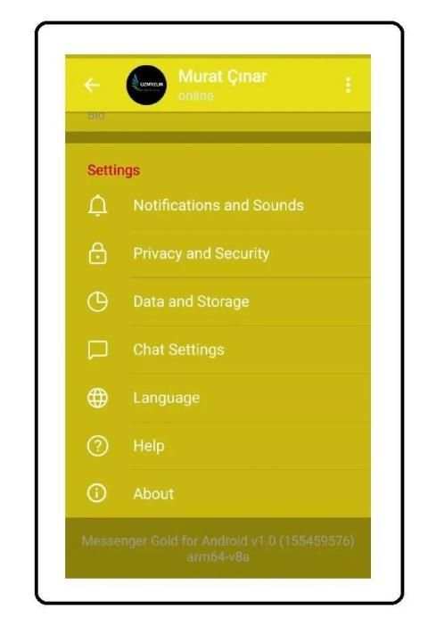 Messenger Gold screenshot 1