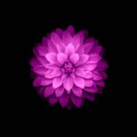 AMOLED Wallpapers - 4K Amoled Wallpapers , 4K Dark on 9Apps
