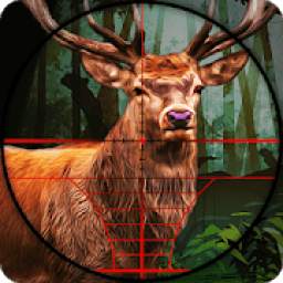 Sniper Wild Animal Shooting 1.0