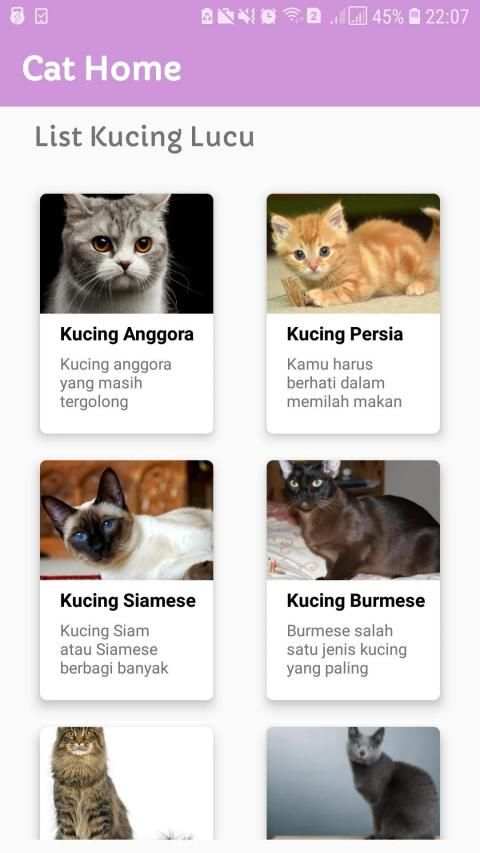 CatHome screenshot 2