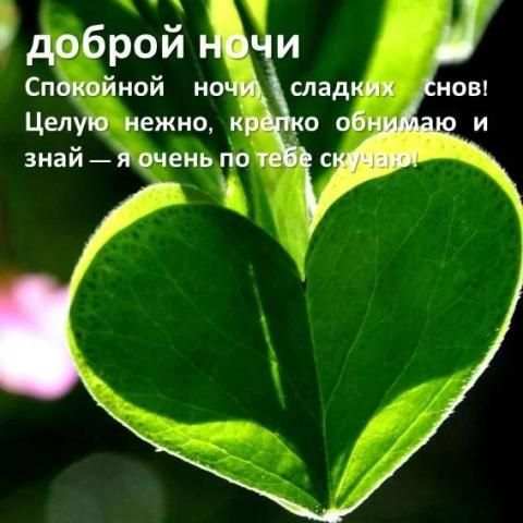 Короткие смс пожелания спокойной ночи screenshot 7