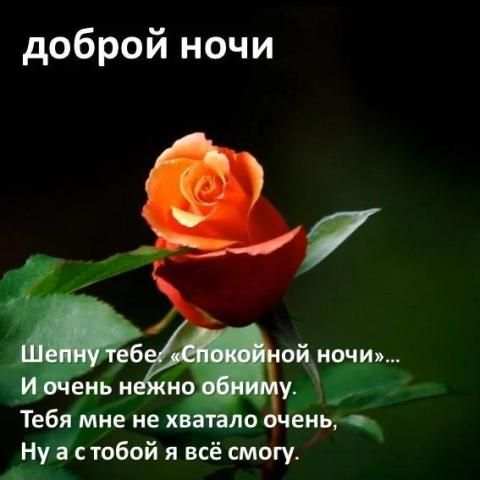 Короткие смс пожелания спокойной ночи screenshot 8