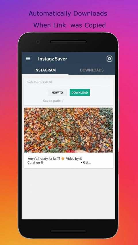 Instagz Saver screenshot 2