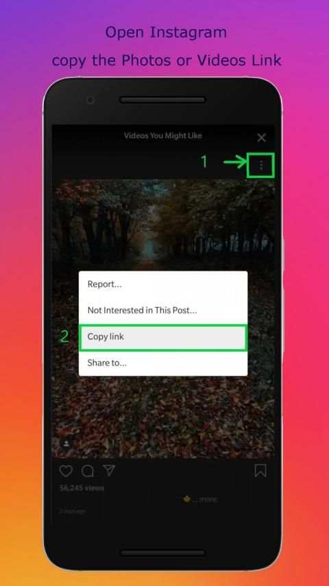 Instagz Saver screenshot 3
