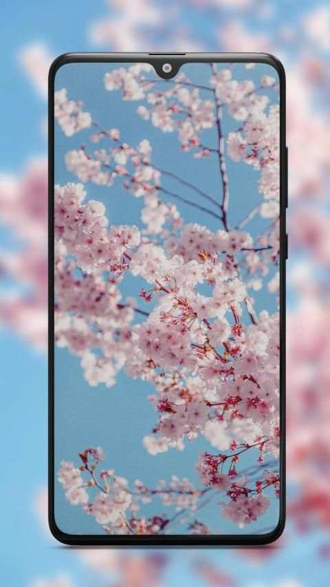 Best & HD Wallpapers Backgrounds screenshot 1