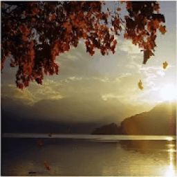 موسيقى هادئة بدون نت
‎ icon