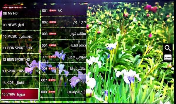 SALEM TV screenshot 1