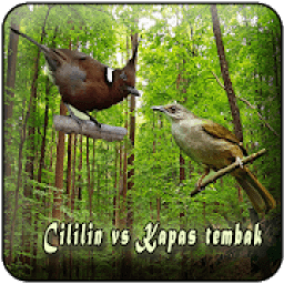 Cililin Vs Kapas Tembak Offline icon