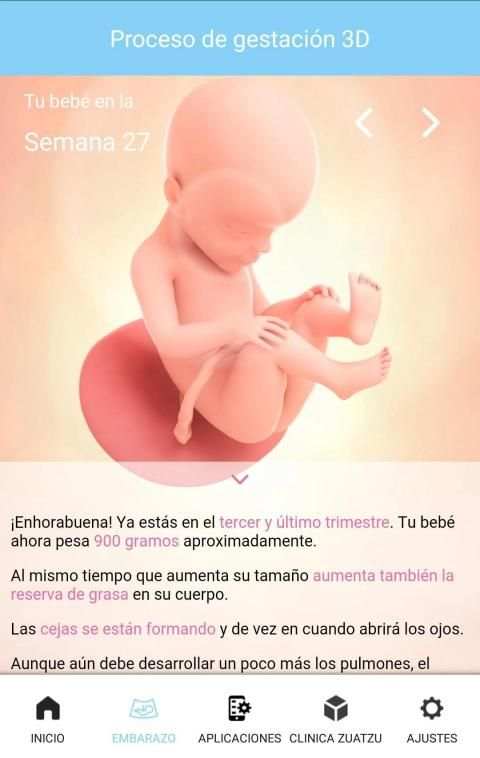 Tu Embarazo screenshot 14