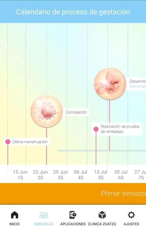 Tu Embarazo screenshot 12