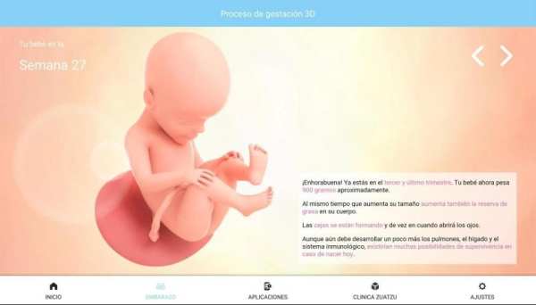 Tu Embarazo screenshot 4