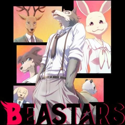 100 Beastars Wallpapers  Wallpaperscom