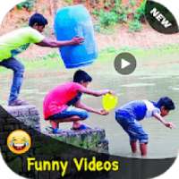 Funny Videos for Whatsapp