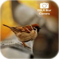 DSLR Camera : DSLR Blur Effect (Photo Editor DSLR)