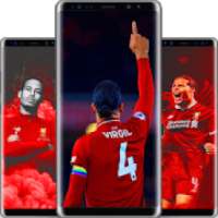 Virgil Van Djik Wallpapers 2020 HD 4K