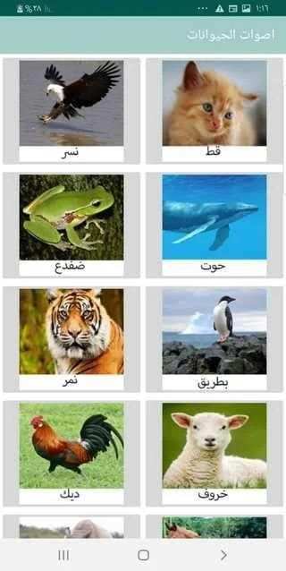 اصوات الحيوانات
‎ скриншот 2
