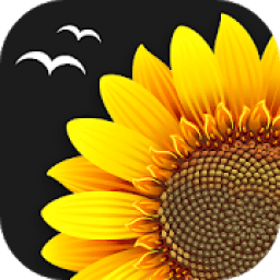 ikon Gallery : Gallery Vault