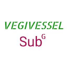 VEGIVESSEL आइकन