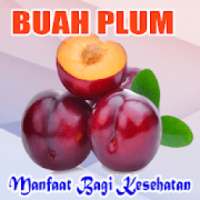 Manfaat Buah Plum Bagi Kesehatan Tubuh Anda on 9Apps