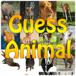 ikon Guess Animal - What Animal am I Think