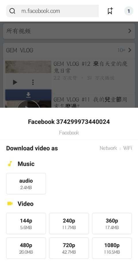 Snap Downloader Pro screenshot 2