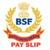 BSF Pay Slip