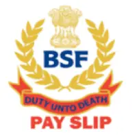 BSF Pay Slip