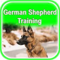 German Shepherd Training
