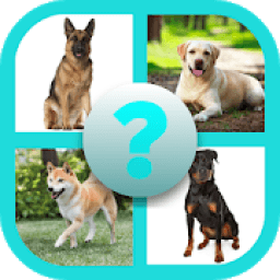 ikon Dog Breed Quiz